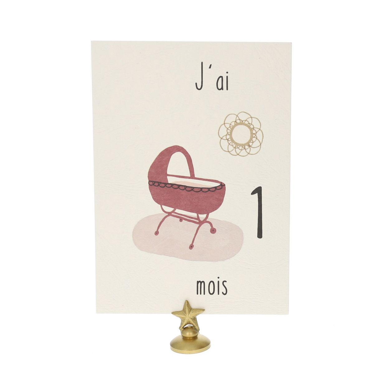 Lot de 12 cartes Ma première année de bébé Atelier jasmin