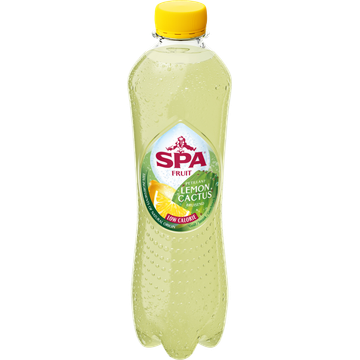 SPA FRUIT Bruisende Fruitige Frisdrank Lemon Cactus 40 cl