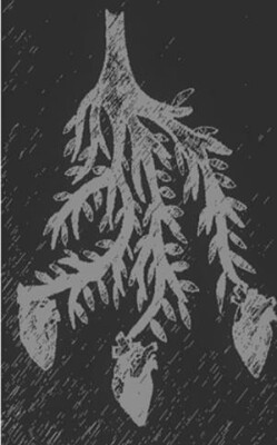 Brudstykker - Signe Sjørslev Hansen - Bog