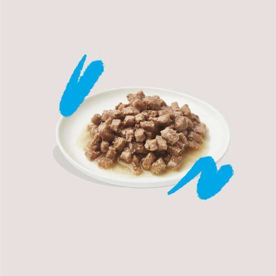 Morceaux en sauce au saumon et poulet pour chats adultes 85g