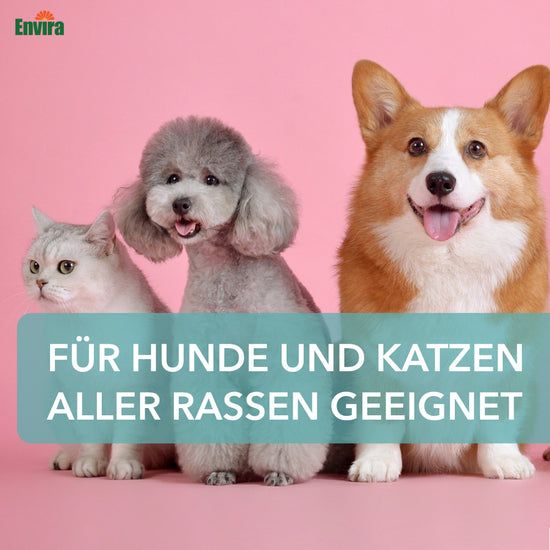 Envira Anti-Giardien Spray für Hunde & Katzen