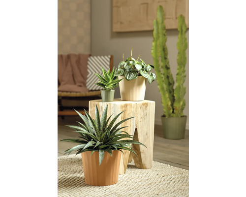 Soendgen keramische bloempot, 13 x 13 x 11 cm, beige