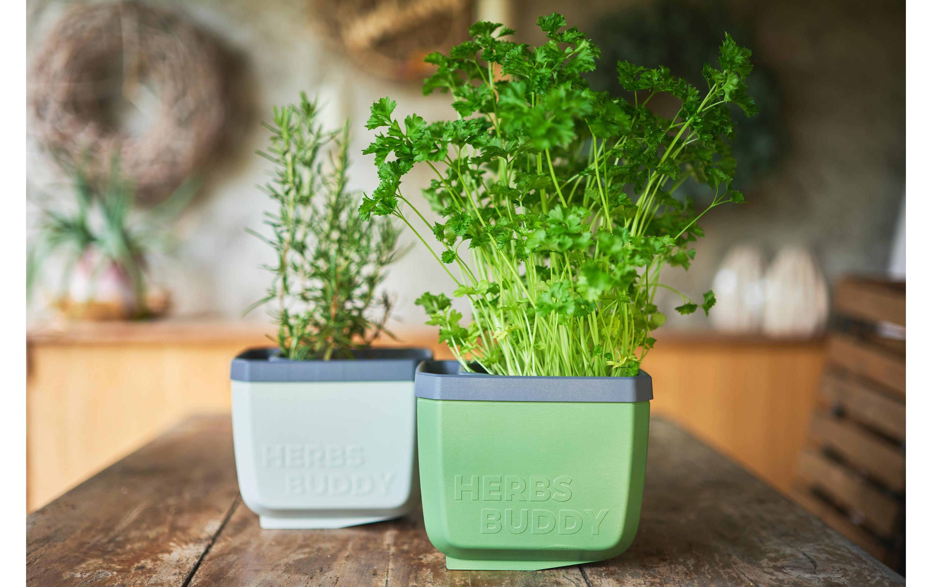 HERBS BUDDY Kräutertopf Grau/HellgrauKräutertopf mit Wasserreservoir und Kippfunktion