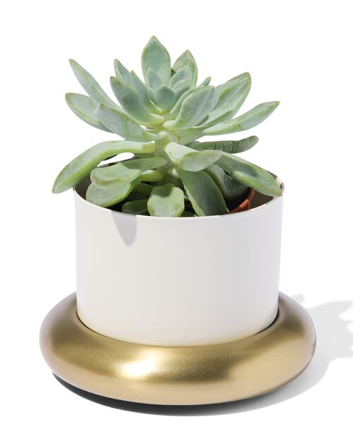 pot de fleurs Ø 10 x 6,5cm métal