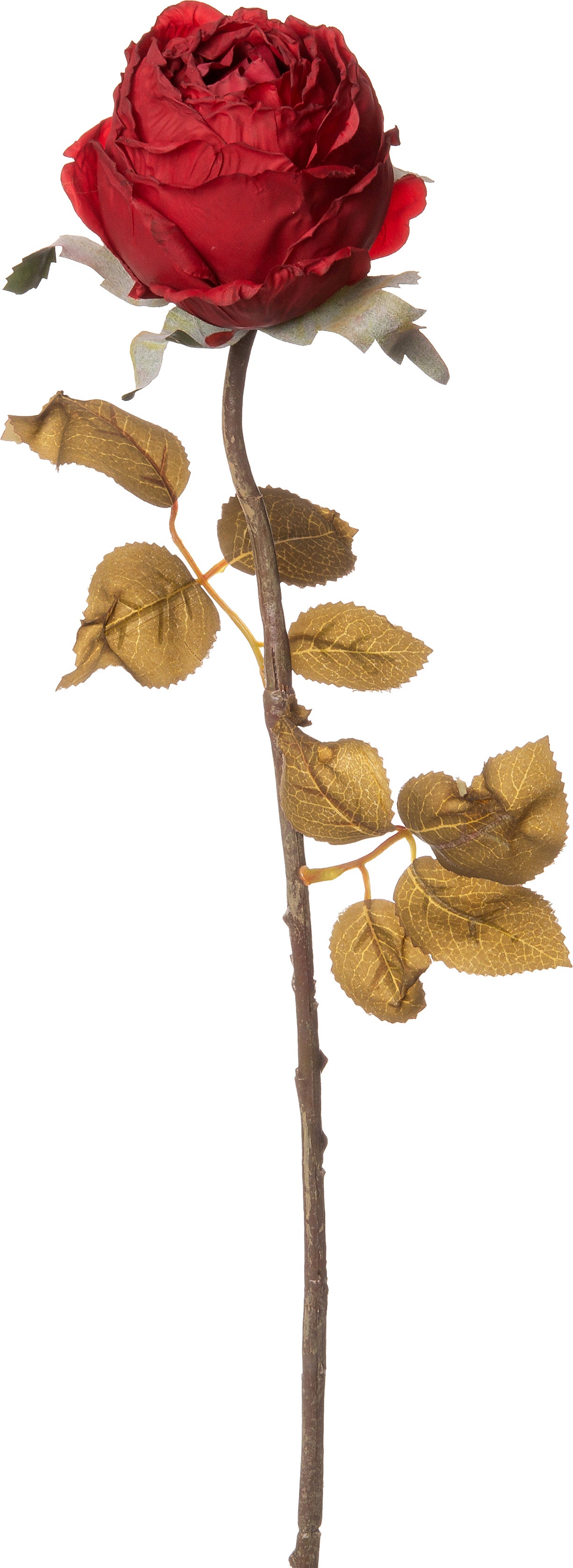 Intratuin kunstbloem Roos 61 cm rood