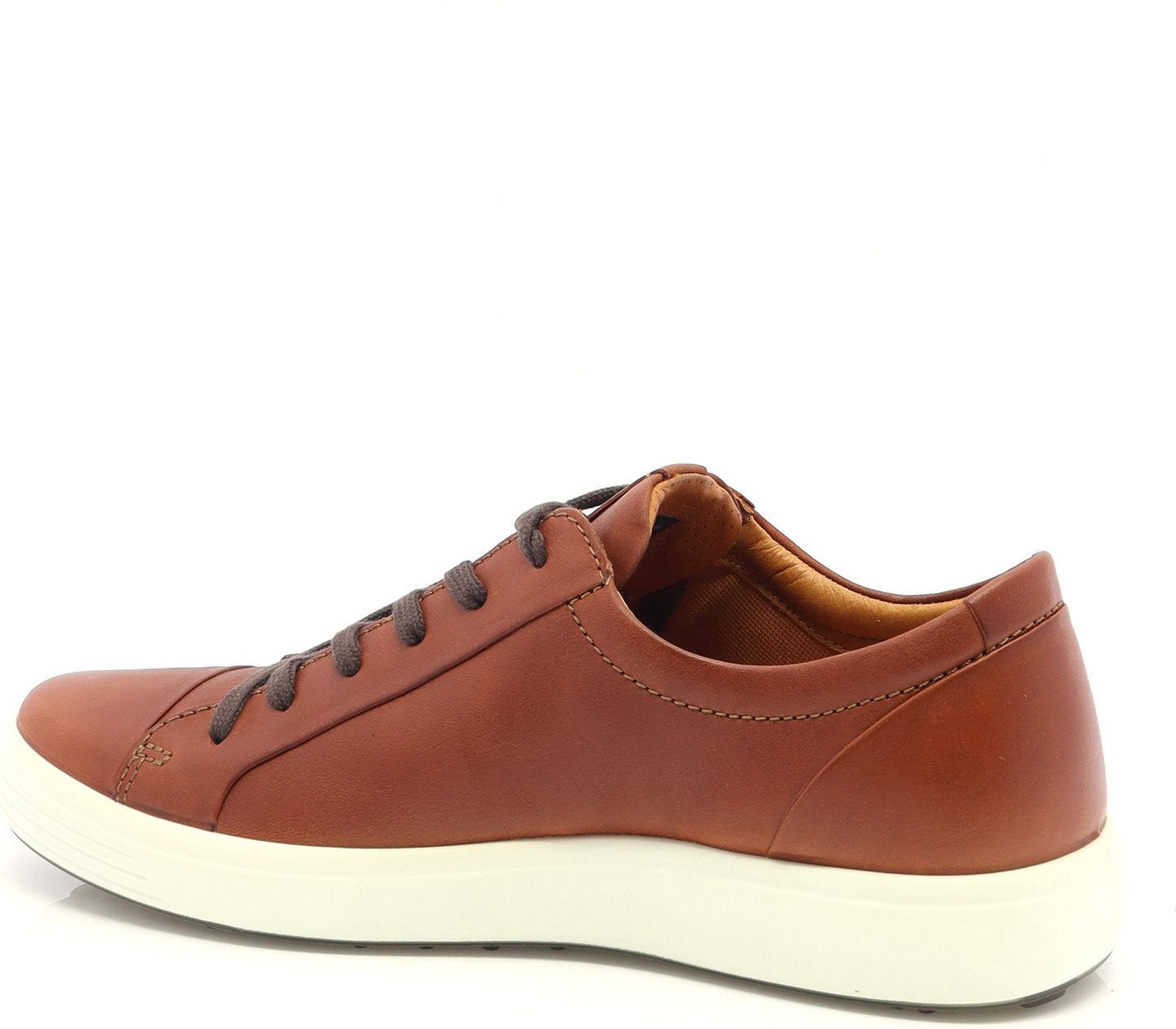 81443 ECCO