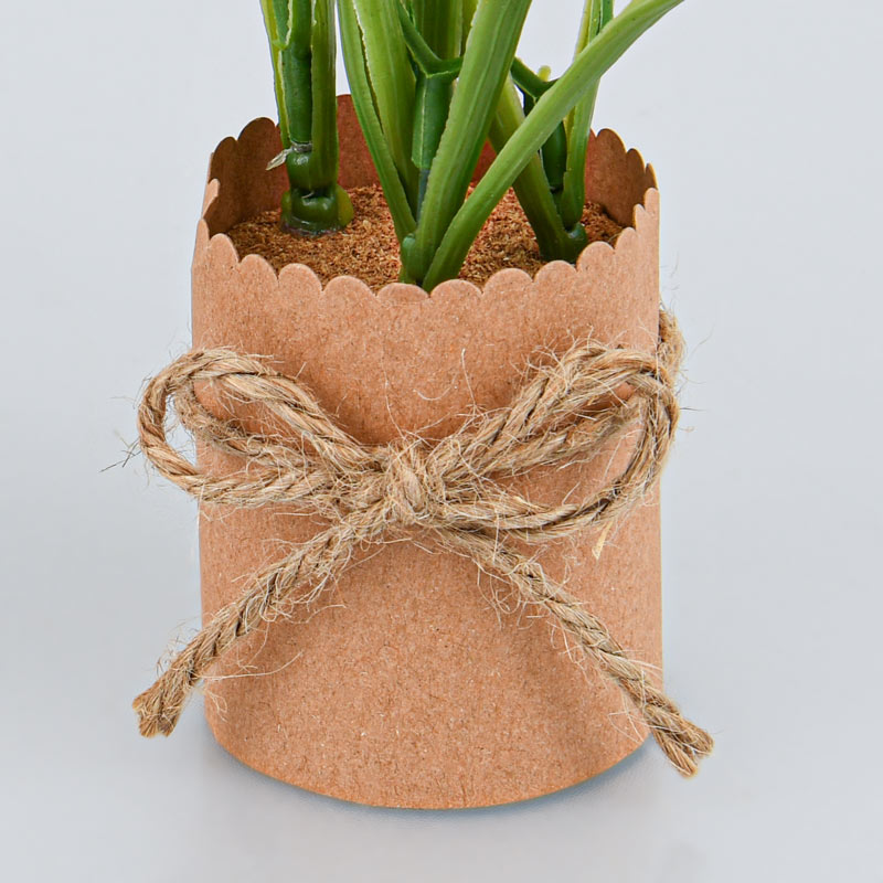 Jonquilles en pot roses