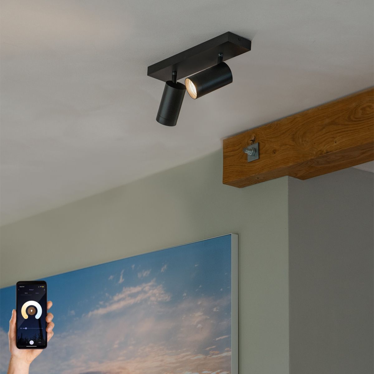 Smart plafondspot zwart verstelbaar 2-lichts incl. 2 Wifi GU10 50mm - Jeana Luxe