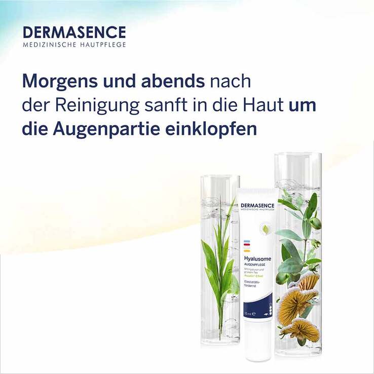Dermasence Hyalusome Augenpflege, 15 ml