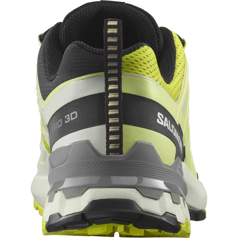 Salomon XA Pro 3D V9 Schuhe