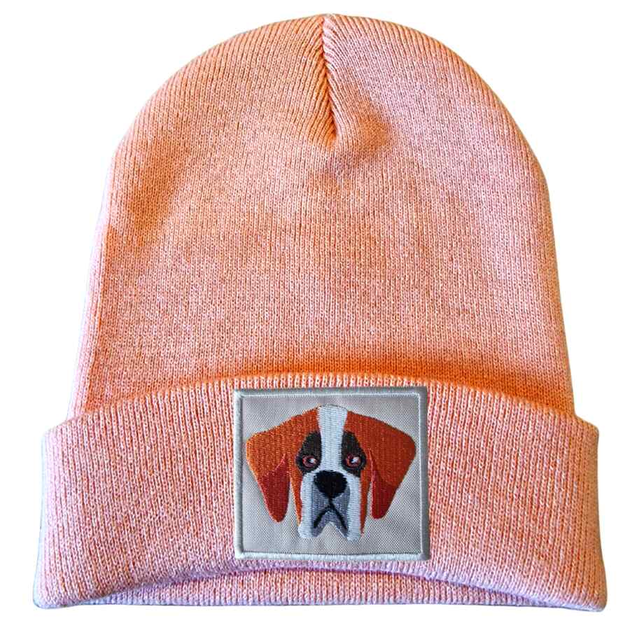Chapéu para cão São Bernardo
