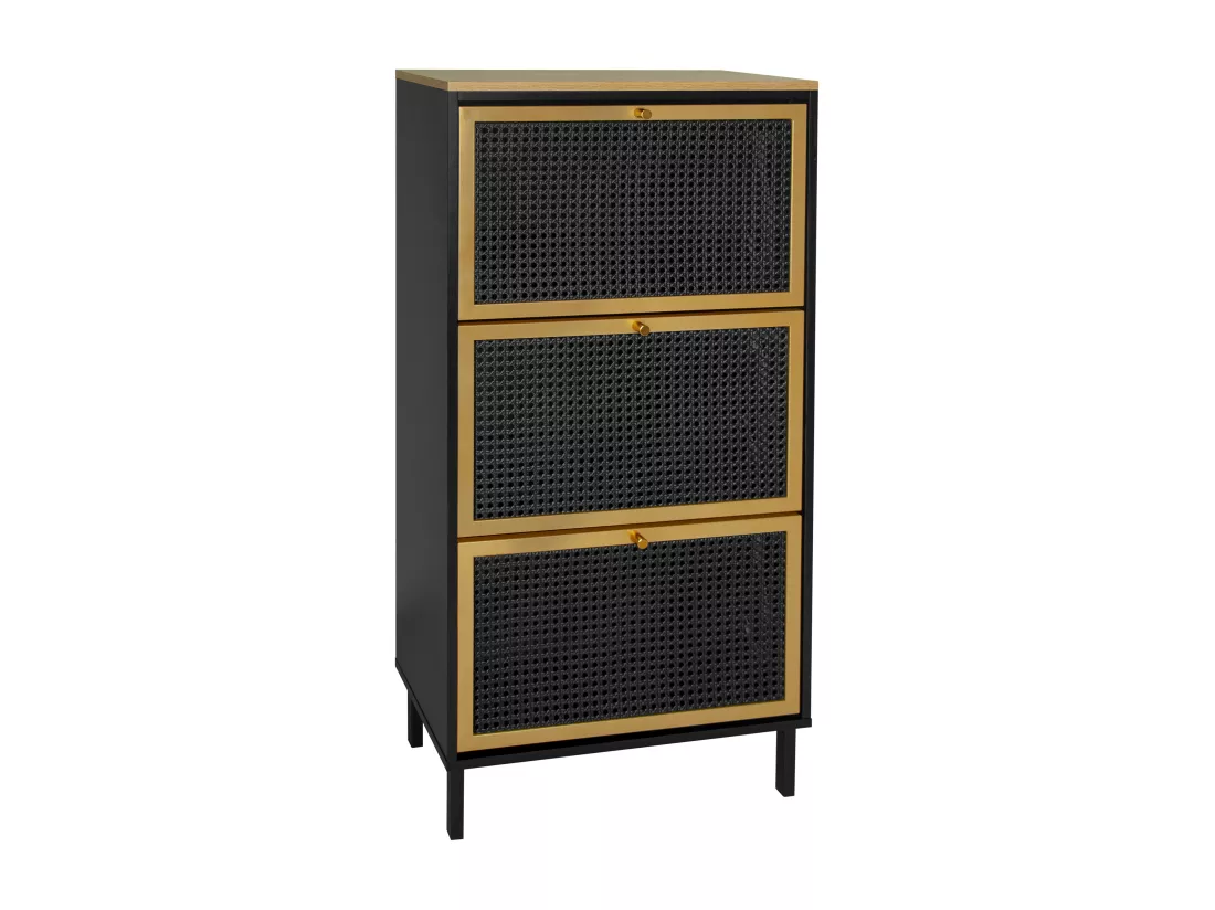 Haobosic - Meuble à chaussures avec trois portes et structure en métal tissé rotin, double étagère à chaussures, 60 cm, avec panneau arrière,noir