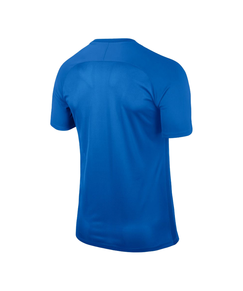 Nike Striped Segment III Trikot kurzarm Blau F455