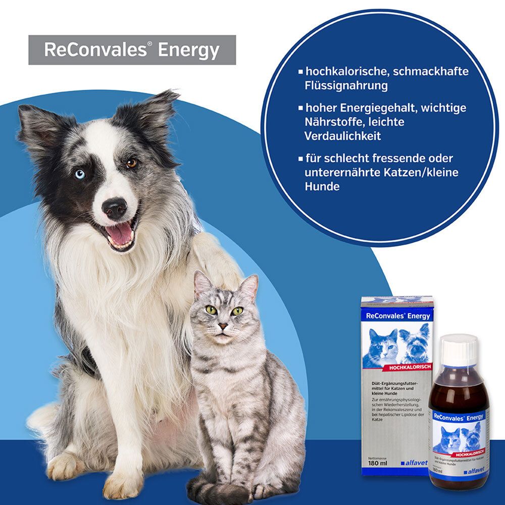 ReConvales® Energy