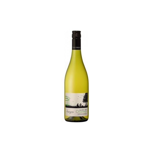 Jardin Des Charmes Sauvignon 2020 França Branco 75cl