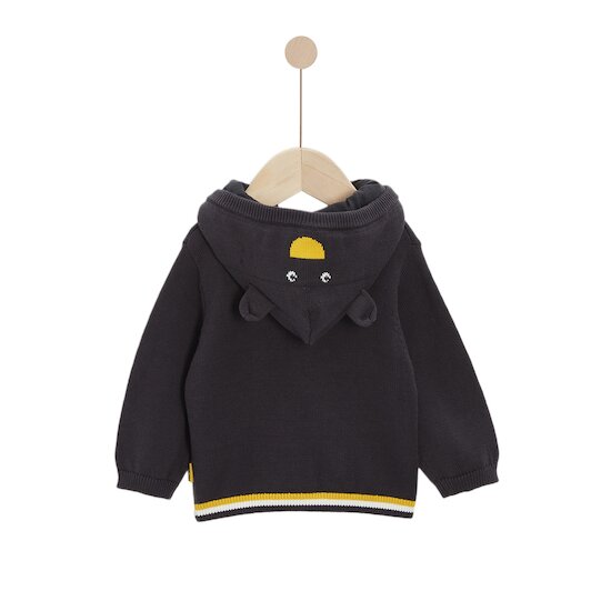 Veste en tricot à capuche   Gris        de               P'tit bisou