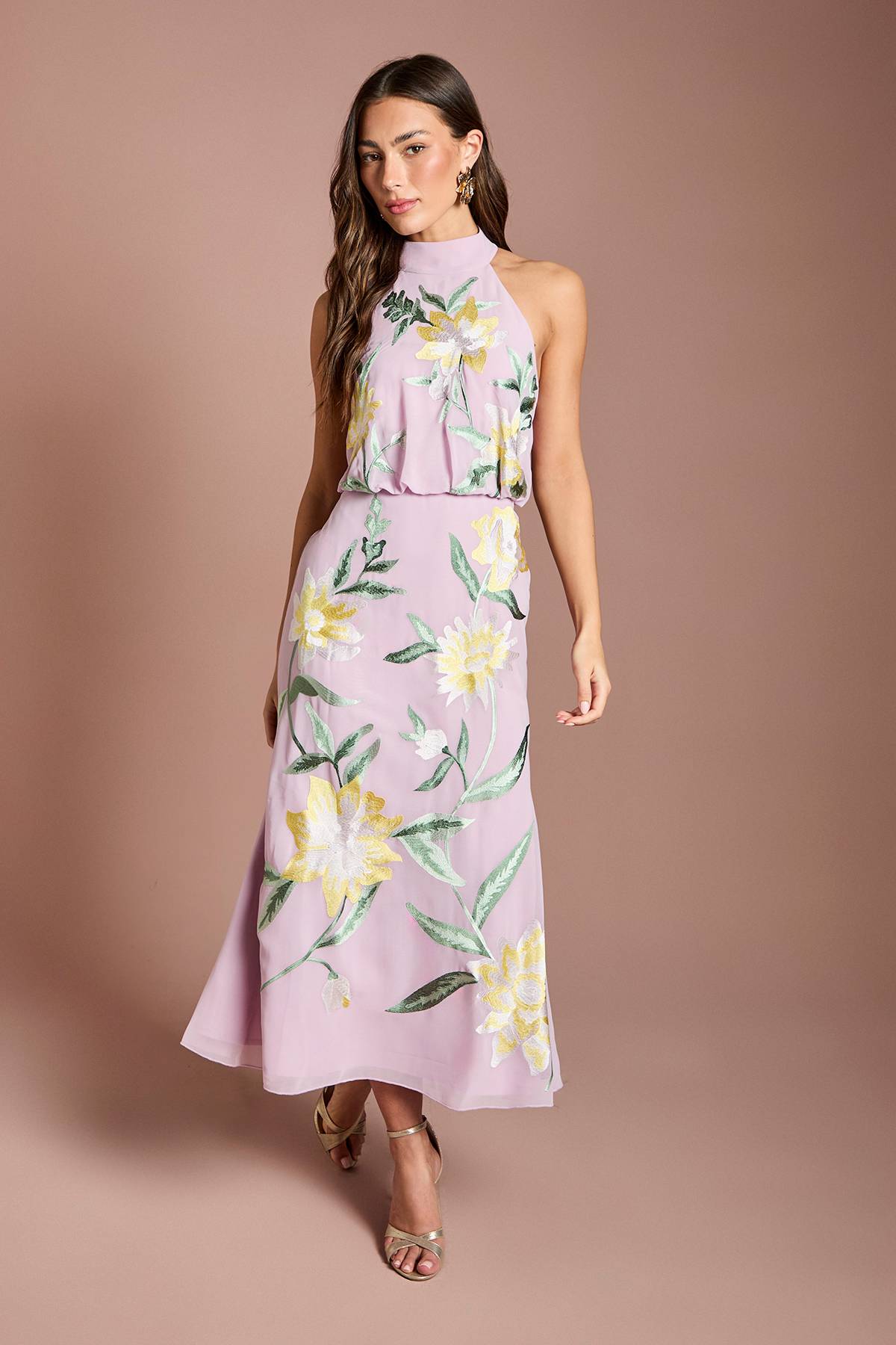 Coast Robe Midi À Col Montant Avec Broderie Florale