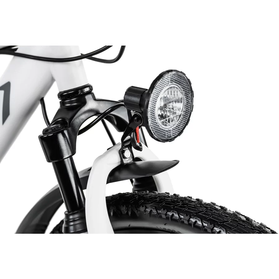 KS Cycling Mountainbike Hardtail ATB Twentyniner 29“ Heist weiß-grün weiß