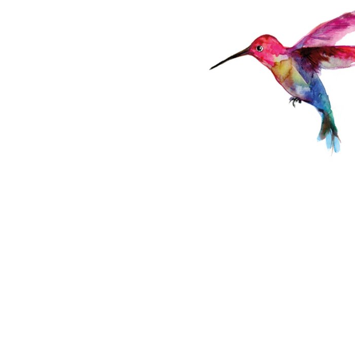 Verjaardagskaart | Michelle Dujardin | Vogels