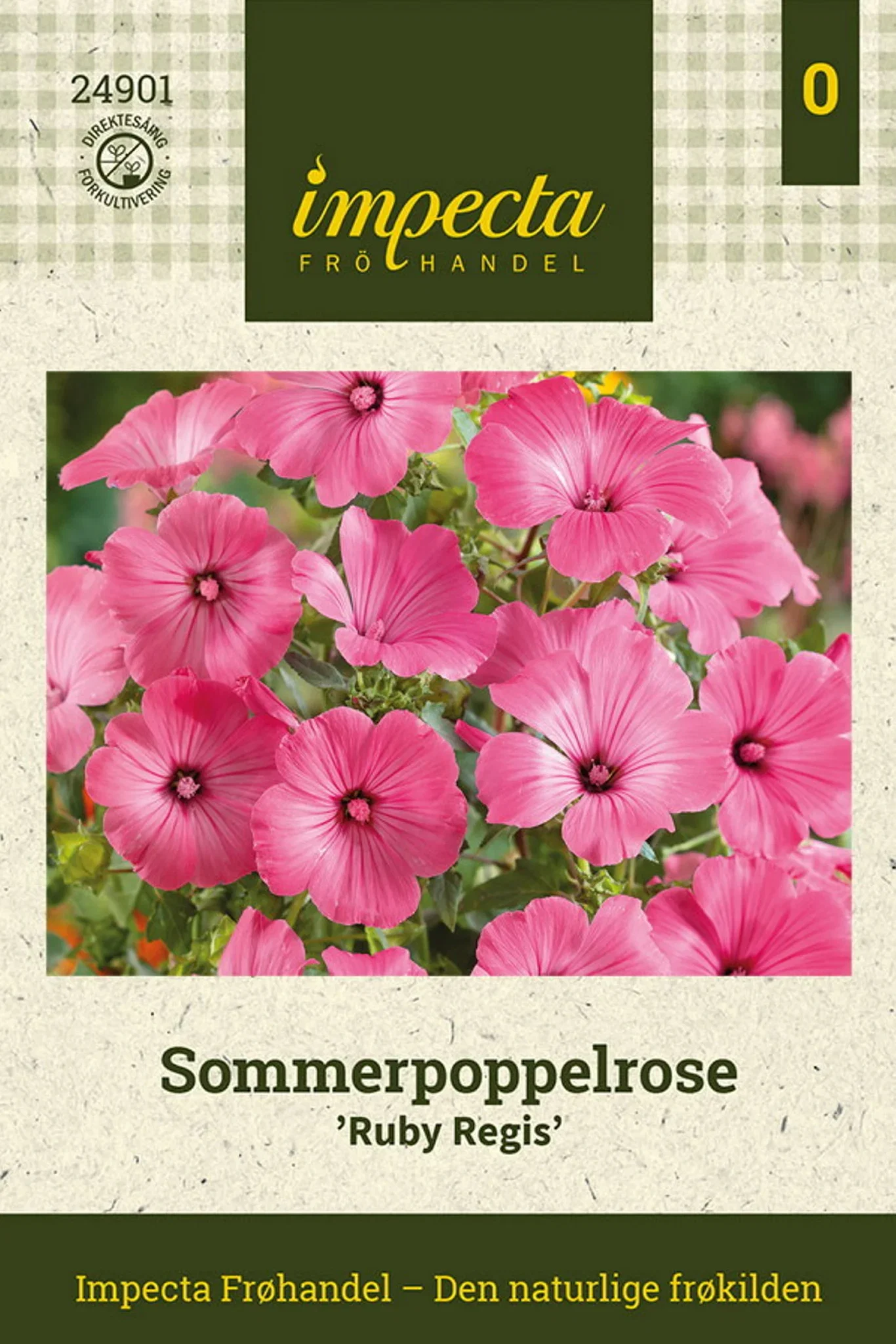 Malva trimestris 'Ruby Regis' Sommerpoppelrose 'Ruby Regis'