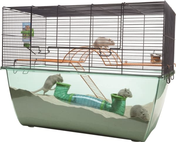 Savic Habitat XL 70x37x56 blå wire