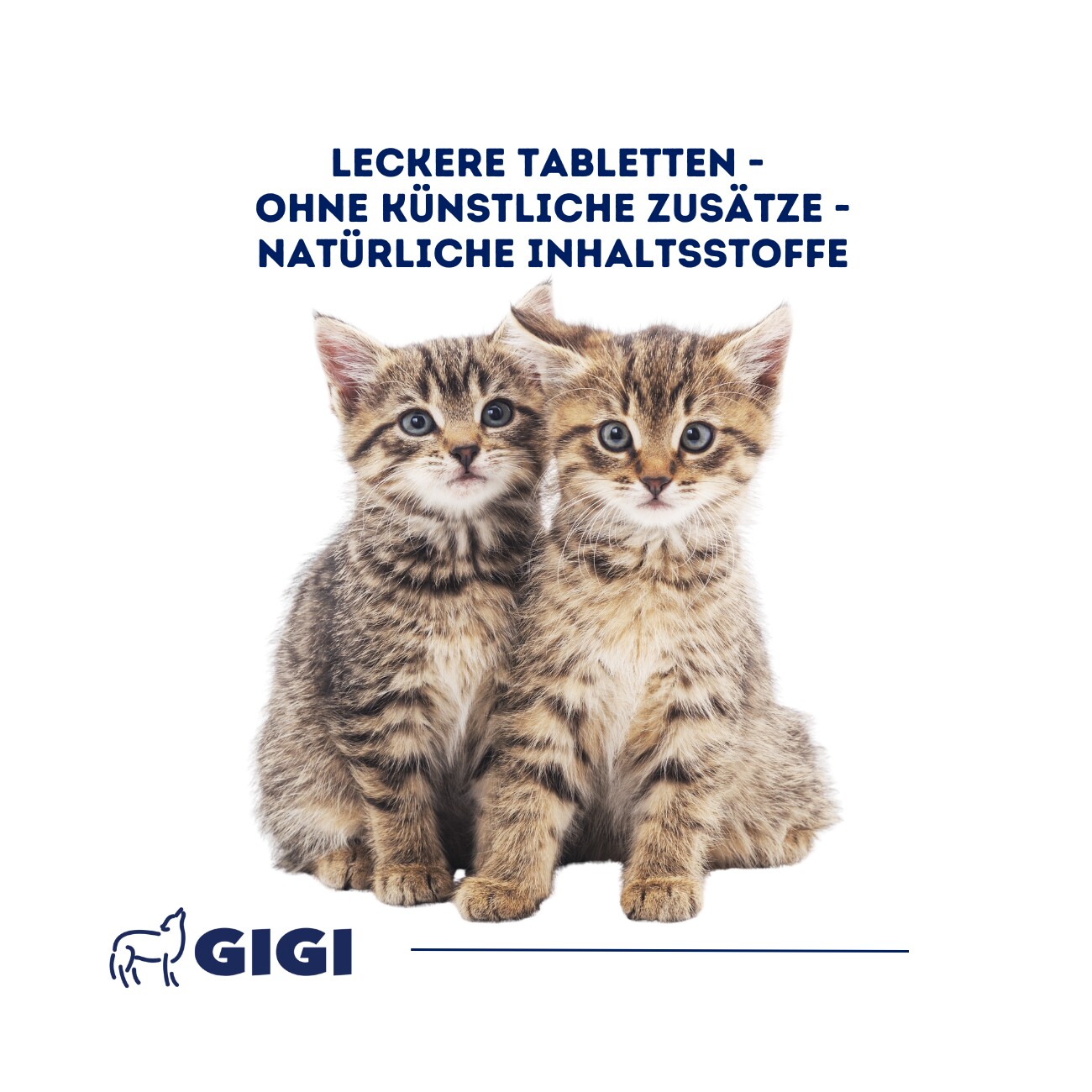 GIGI VET Katzenwelpen Wachstum & Entwicklung 10 g
