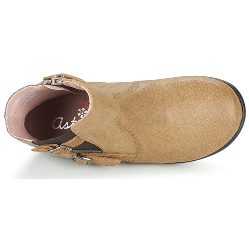 Aster - DESIA - Beige