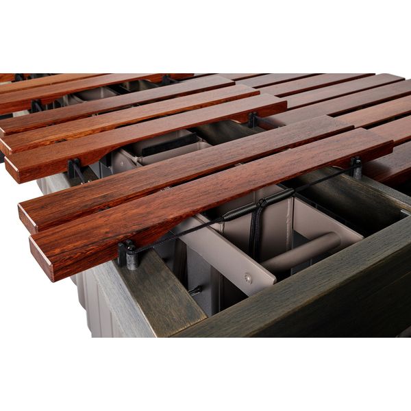 Adams MAH50HA Apex 443Hz G/D