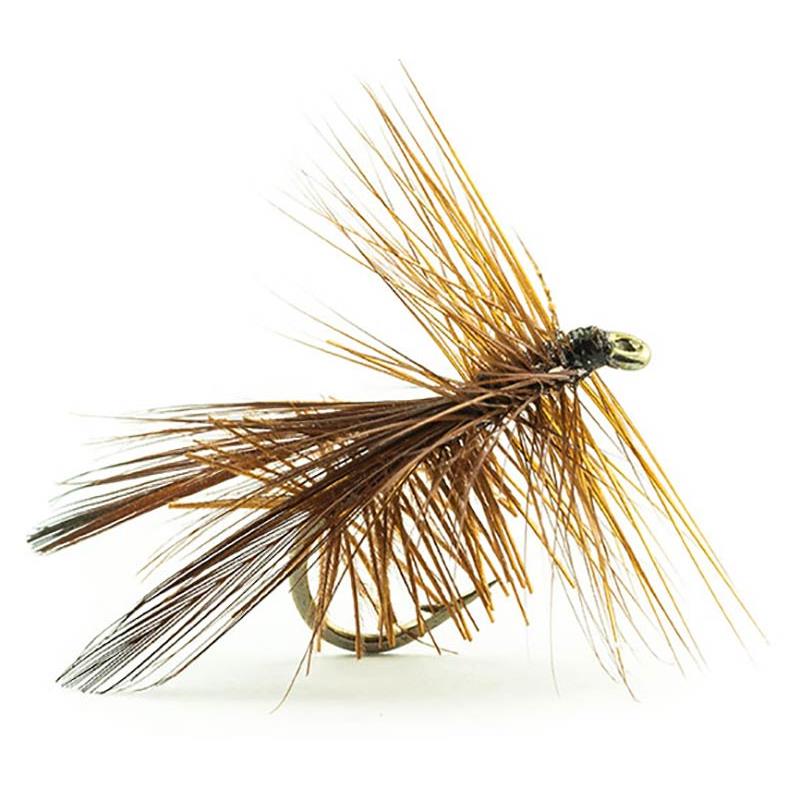 Mouche Devaux Sedge Tricoptheres Profk Bl