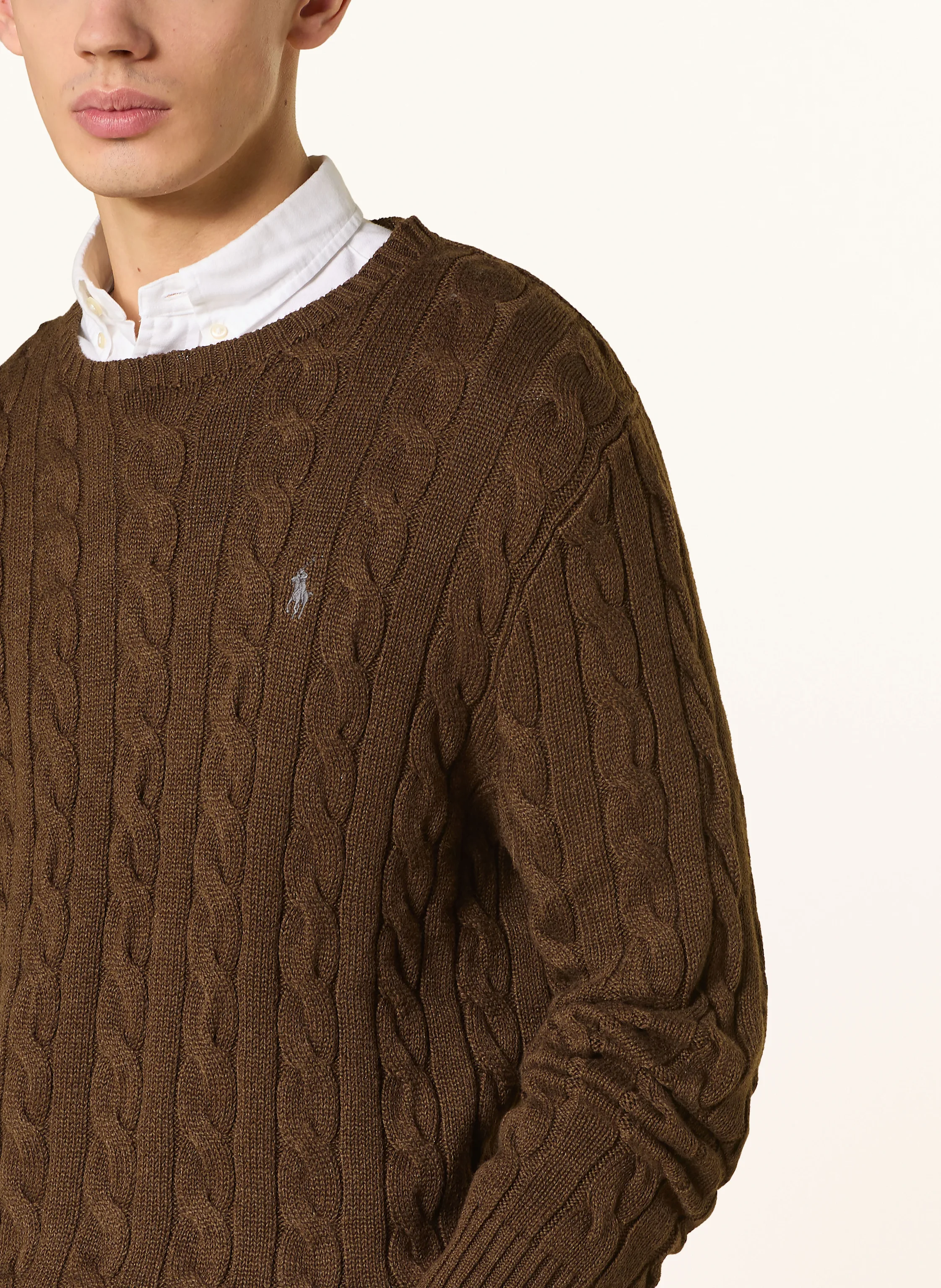 POLO RALPH LAUREN Pullover