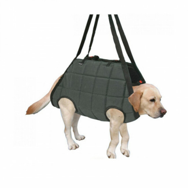 Harnais baudrier de treuillage pour chien