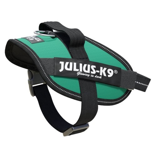 Coleira para cães Julius K9, verde-água