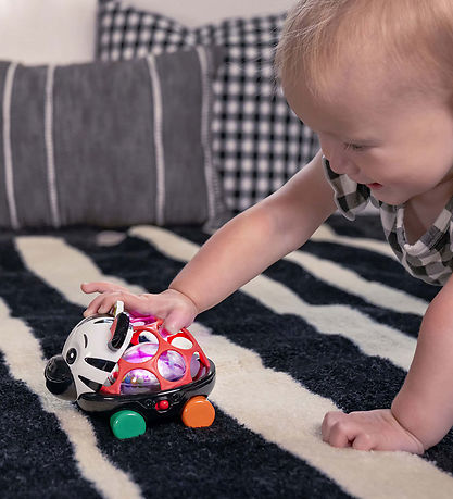 Baby Einstein Aktivitetsleget?j - Zen Oball K?ret?j