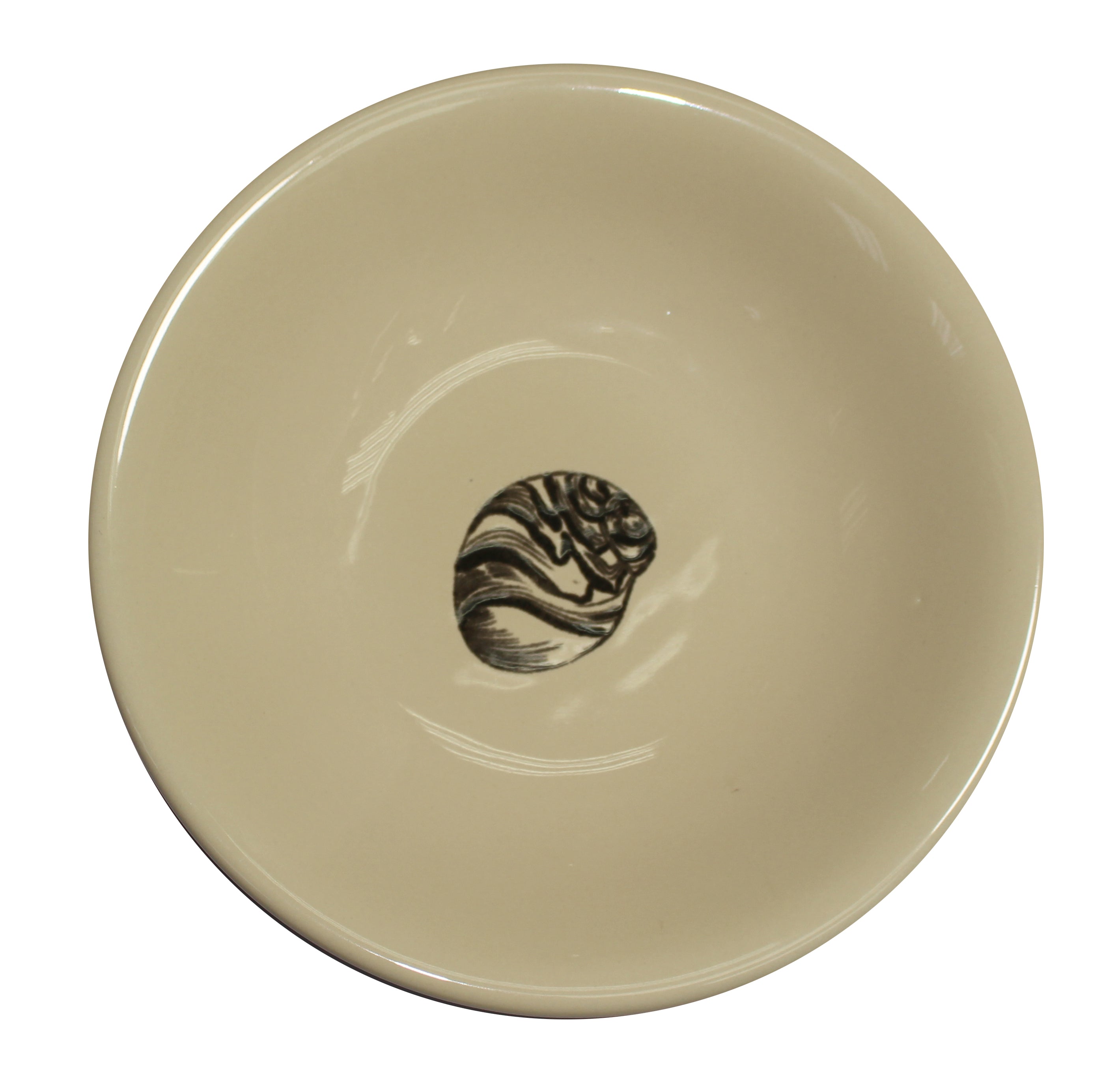 Tasse et assiette à thé en céramique « Conchas de la Isla Cream » (lot de 4)