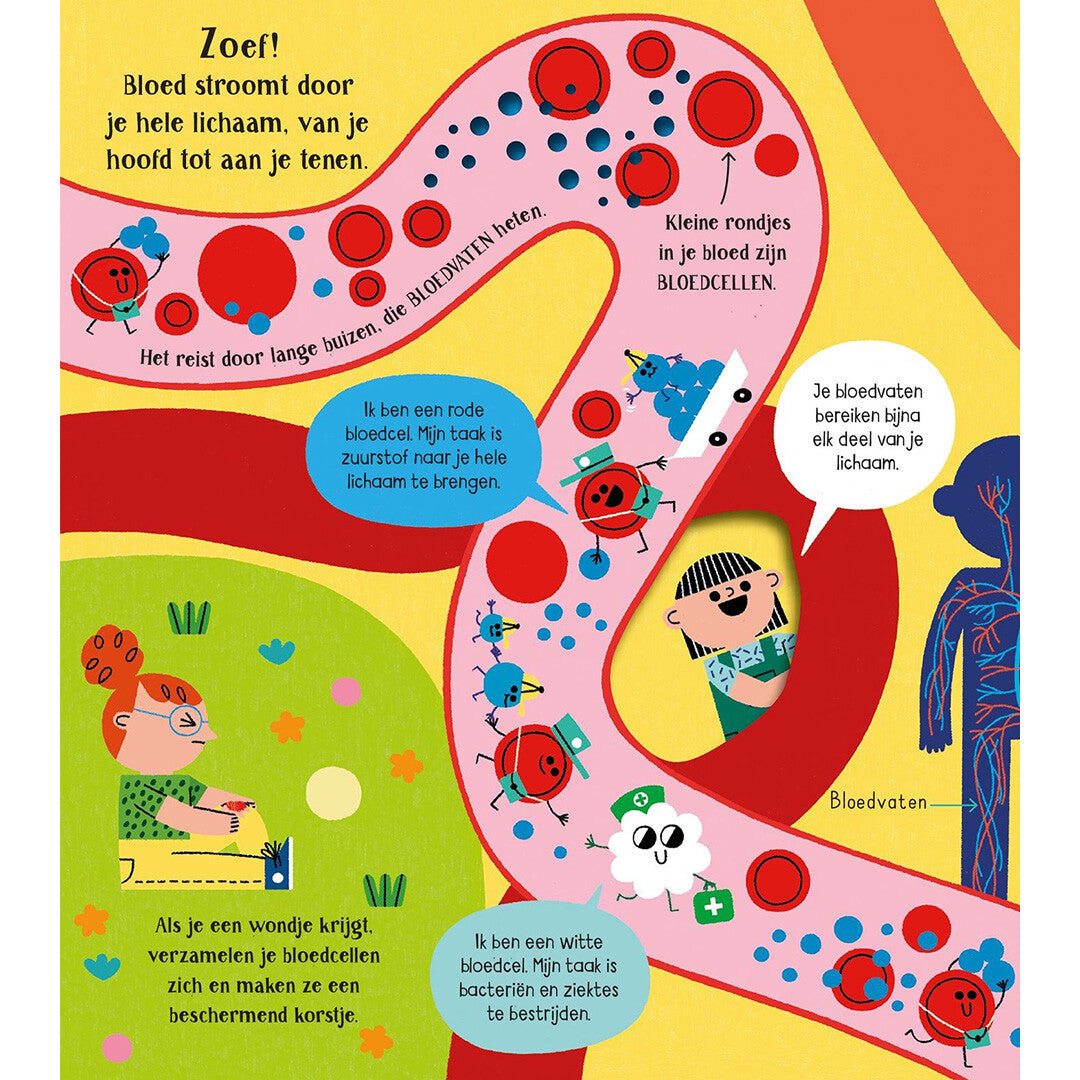 Usborne maak kennis met jouw lichaam