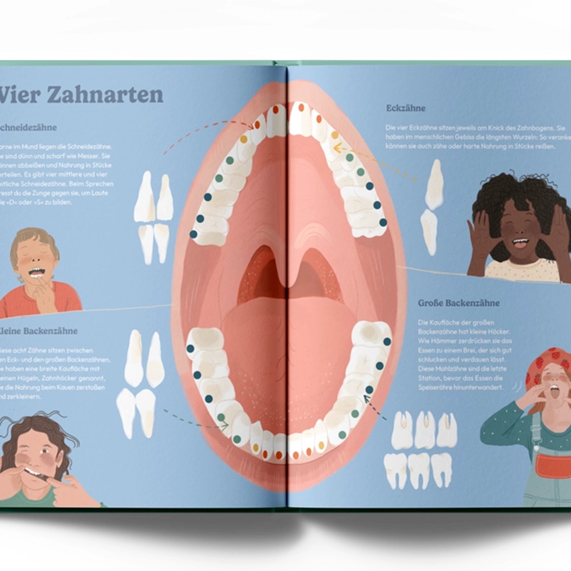 Buch Von Goldzahn bis Giftzahn