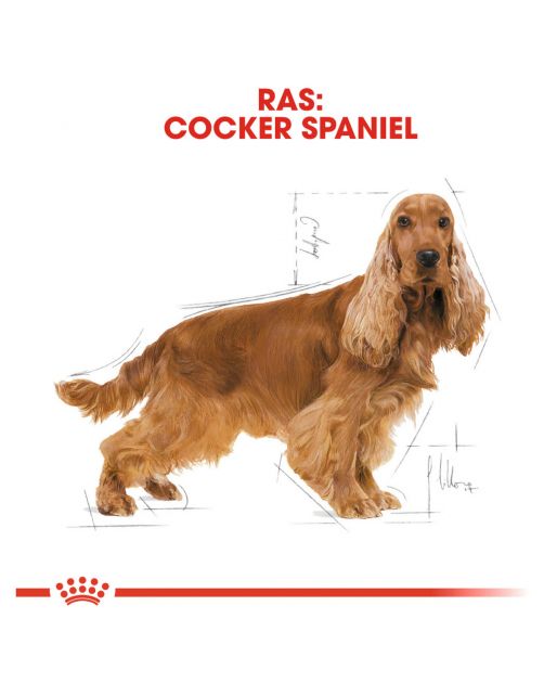 Royal Canin Cocker Adult - Hondenvoer