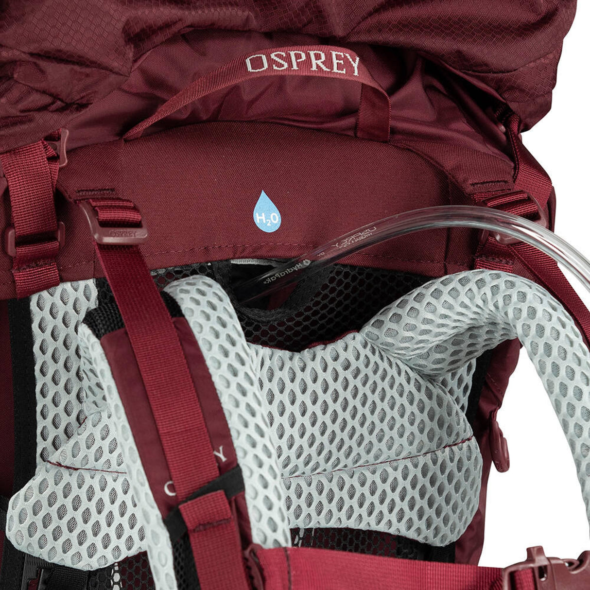 Osprey<br>Aura AG LT 65