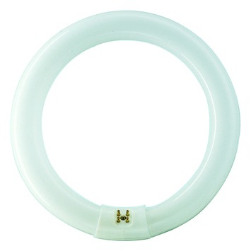 Philips TL-buis 32W cool wit
