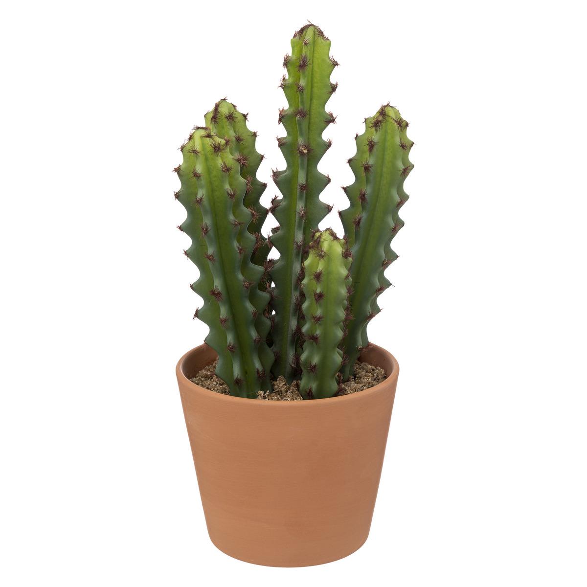 CACTUS POT TERRACOTTA ALICANTE H.25CM