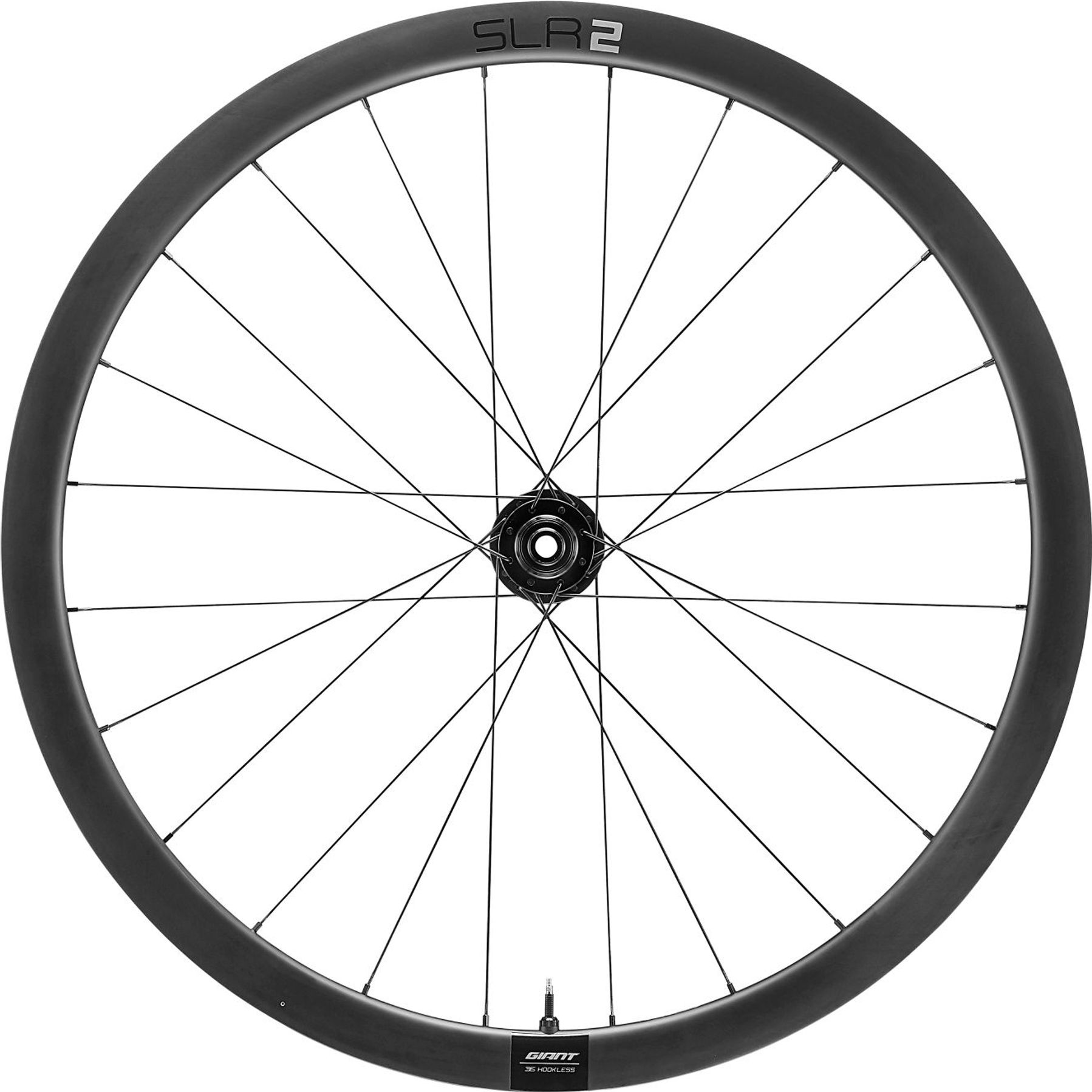 Giant SLR 2 36 Disc Racefiets Wielset