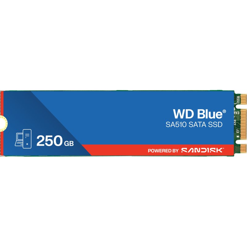 Western Digital Blue WD SA510 250 Go M.2 Série ATA III