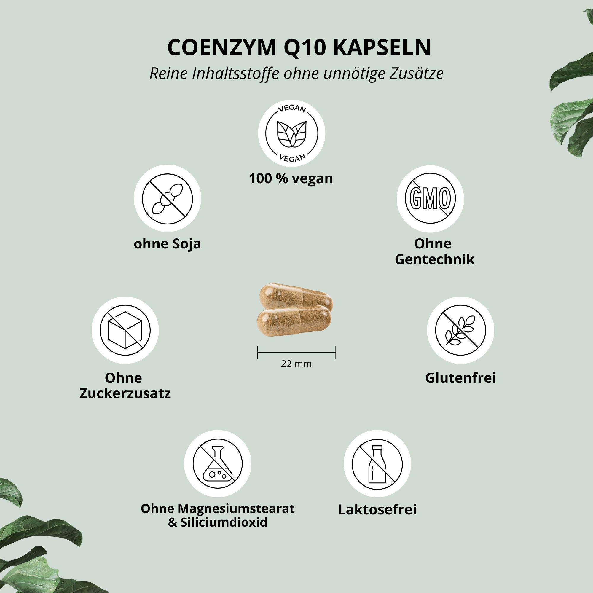 Nutri+ Coenzym Q10 Kapseln 100 mg Ubichinon