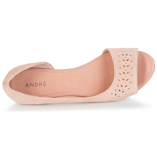 André - HELIA - Rose