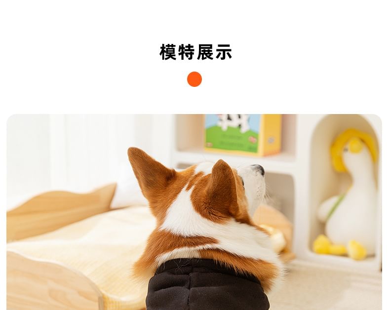 Cissilli - Chenille Pet Top met letters en capuchon