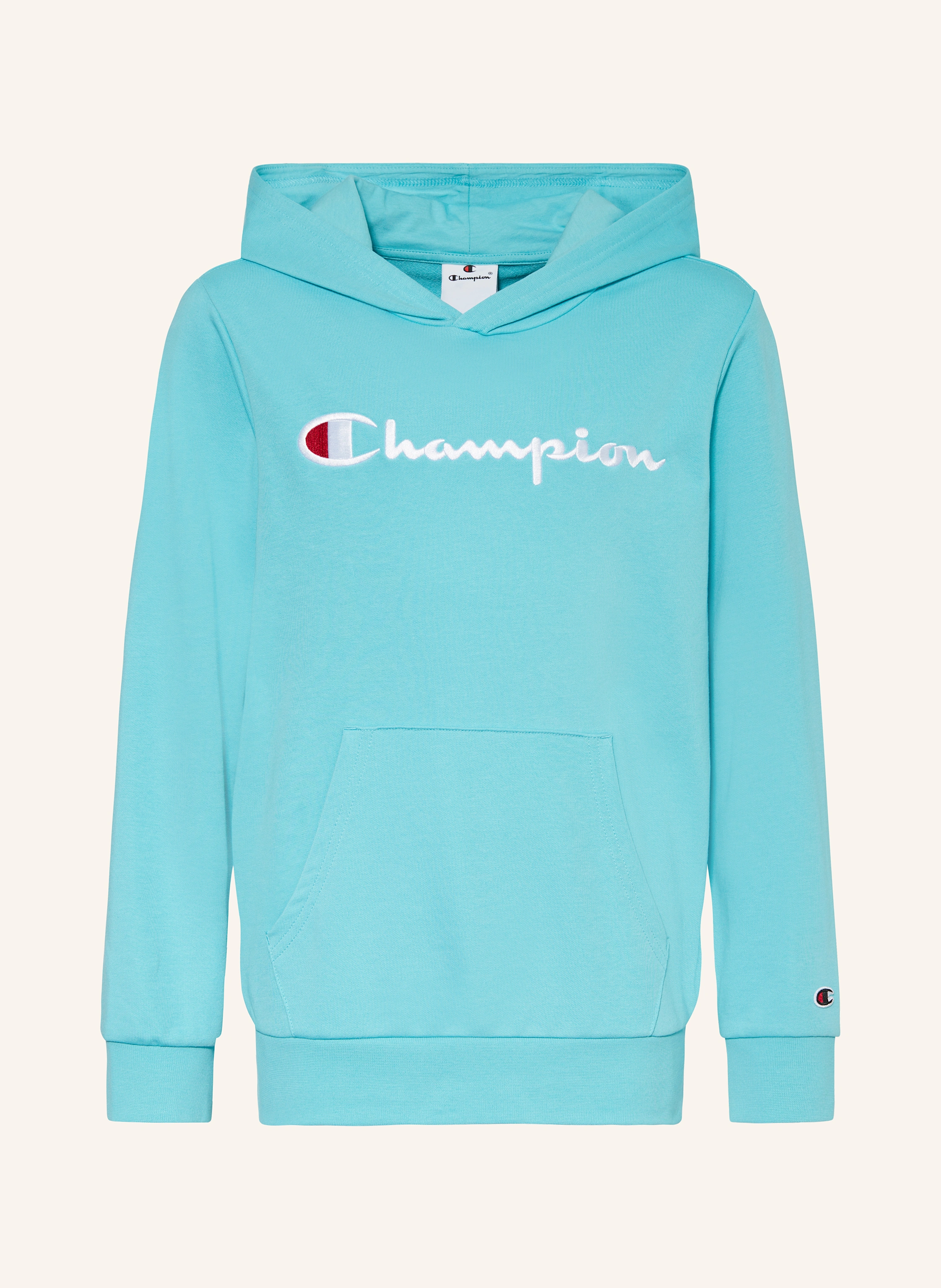 Champion Hoodie