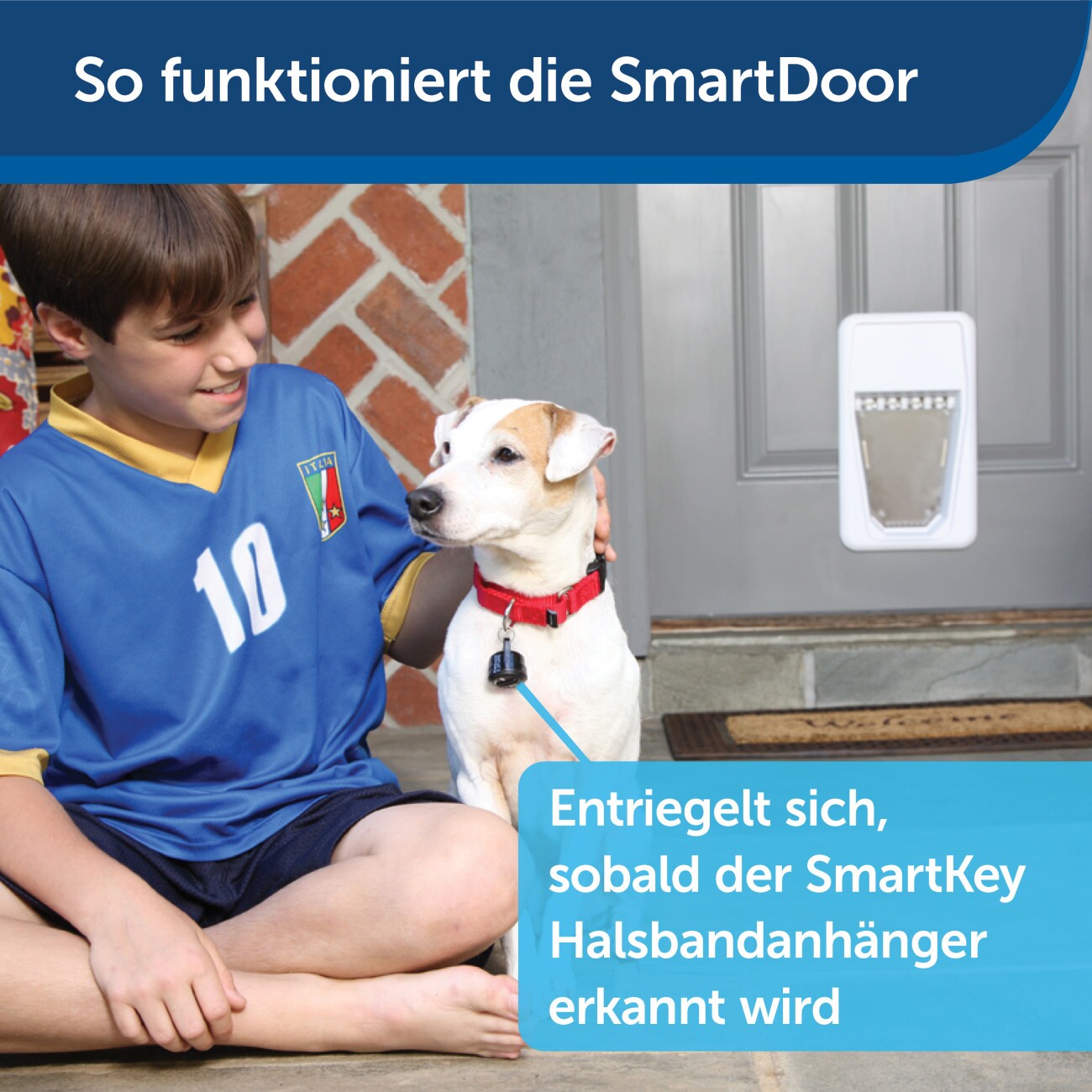 PetSafe SmartDoor Elektronische Hundeklappe, Größe L, Weiß