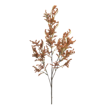 Statice spray oranje 80cm