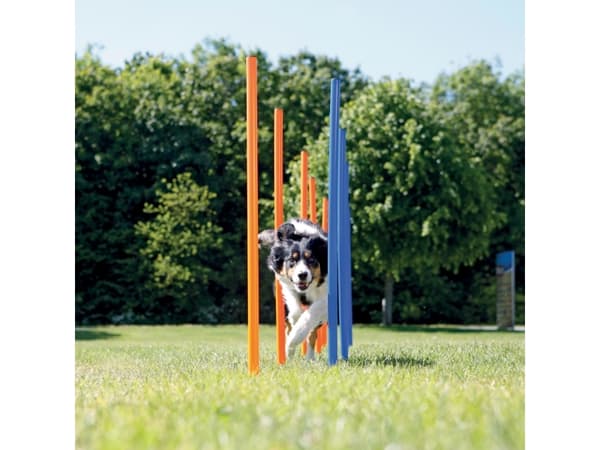 Trixie 12 Agility slalom pinde 115cm
