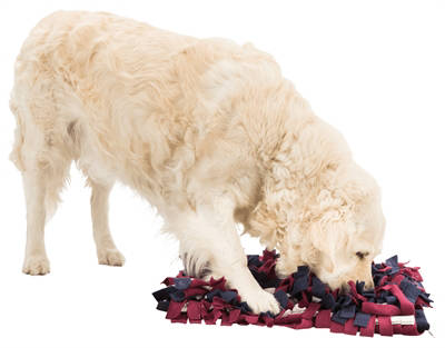 Trixie hondenspeelgoed Activity Snuffelmat Assorti 50X34 cm